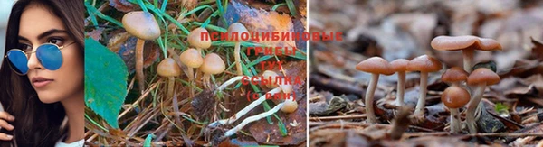 ALPHA-PVP Арсеньев