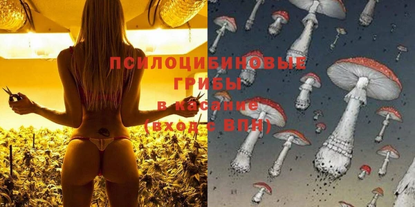 ГАЛЛЮЦИНОГЕННЫЕ ГРИБЫ Армянск