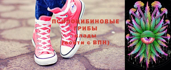 ГАЛЛЮЦИНОГЕННЫЕ ГРИБЫ Армянск